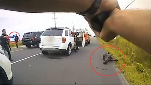 美国警察爆料视频大全最新,揭露执法内幕与争议瞬间