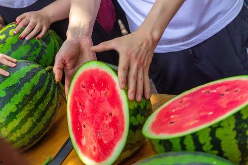 免费吃瓜群,揭秘网络社交新潮流