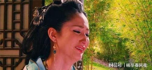 林中奇案在线观看,揭秘神秘森林的惊悚谜团