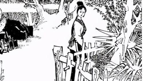 林中奇案在线观看,揭秘神秘森林的惊悚谜团  第2张