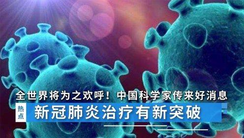 科学家爆料新冠肺炎视频,科学家最新研究视频深度解析