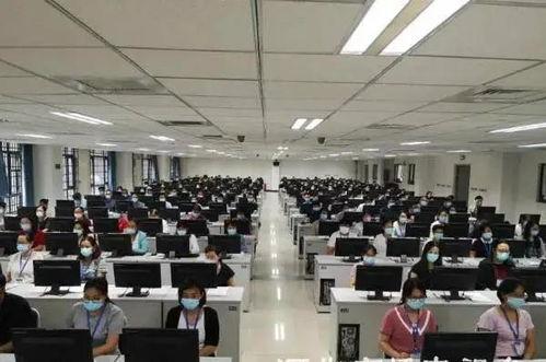 河北省高校爆料新闻最新,揭秘校园热点事件背后的真相”  第2张