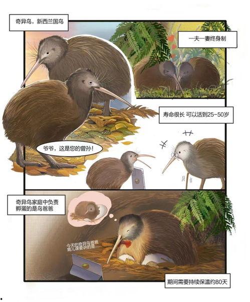 爆料猫博主养鸟视频,温馨互动,鸟儿成新宠 第3张 爆料猫博主养鸟视频,温馨互动,鸟儿成新宠 第3张