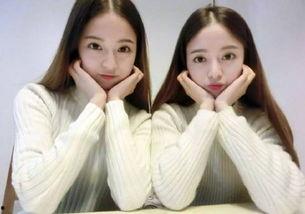 娱乐吃瓜酱高考700,娱乐吃瓜酱的逆袭之路  第3张