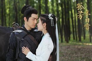 《意》在线观看,一场跨越时空的浪漫邂逅