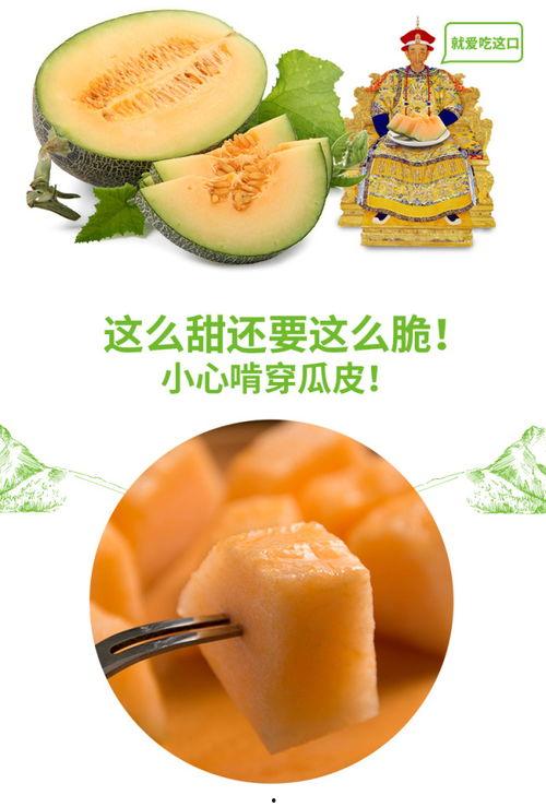 吃瓜号推荐免费,免费获取热门资讯的秘诀大公开  第3张