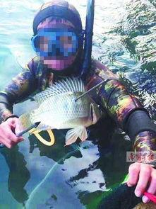 鱼鱼爆料视频大全 第2张 鱼鱼爆料视频大全 第2张