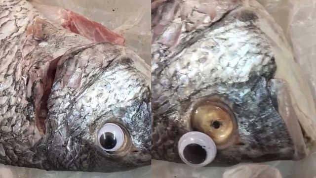 鱼鱼爆料视频大全 第3张 鱼鱼爆料视频大全 第3张