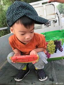 吃瓜娱乐萌,揭秘娱乐圈那些萌趣瞬间  第2张