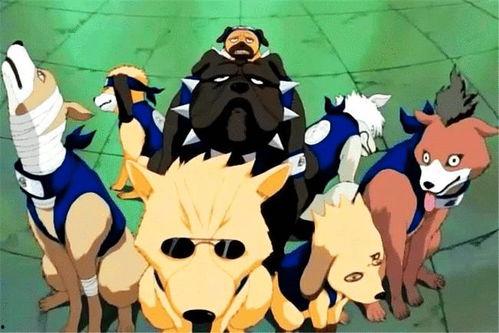 火影忍者帕克最新爆料2025,揭秘忍者世界的全新篇章