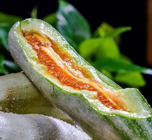 变性网红吃瓜博主叫什么