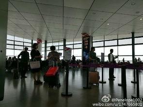 新郑机场最新爆料,揭秘最新爆料背后的宏伟蓝图  第3张