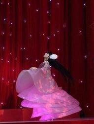 杨彩旗春晚爆料了吗视频 第2张 杨彩旗春晚爆料了吗视频 第2张