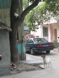 临安19楼最新爆料信息,揭秘临安最新动态与热点事件 第2张 临安19楼最新爆料信息,揭秘临安最新动态与热点事件 第2张