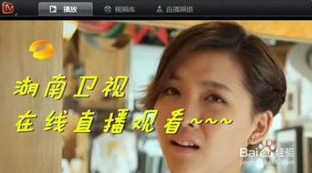 湖南卫视高清直播在线观看,尽享视听盛宴