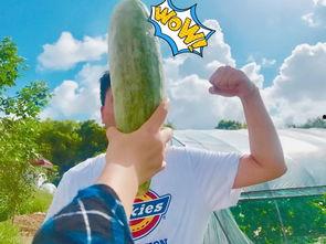 酒吧吃瓜网红是谁啊,酒吧吃瓜网红是谁?网络热议背后的真相 第3张 酒吧吃瓜网红是谁啊,酒吧吃瓜网红是谁?网络热议背后的真相 第3张